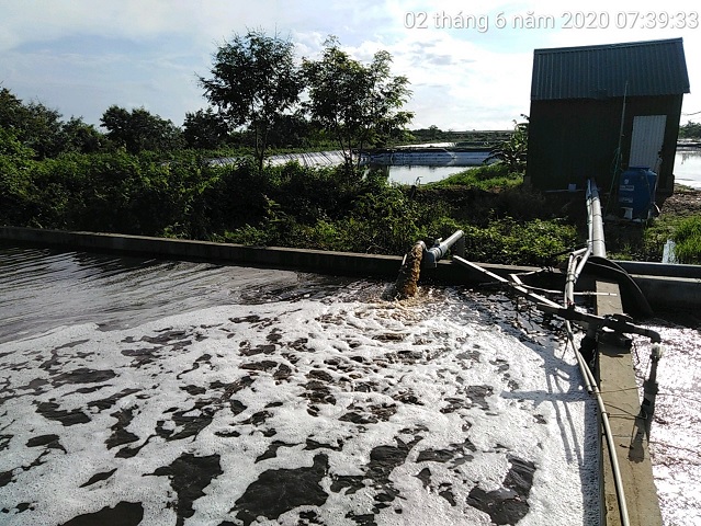 Công ty cổ phần công nghệ Hải Sơn